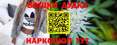 гидропоника Новозыбков