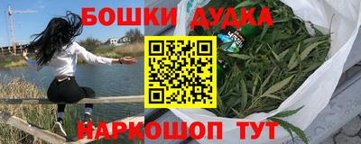 гидропоника Новозыбков