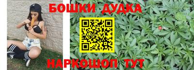 тгк Новокубанск
