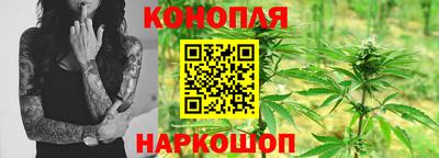 тгк Новокубанск
