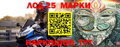 гидропоника Новозыбков