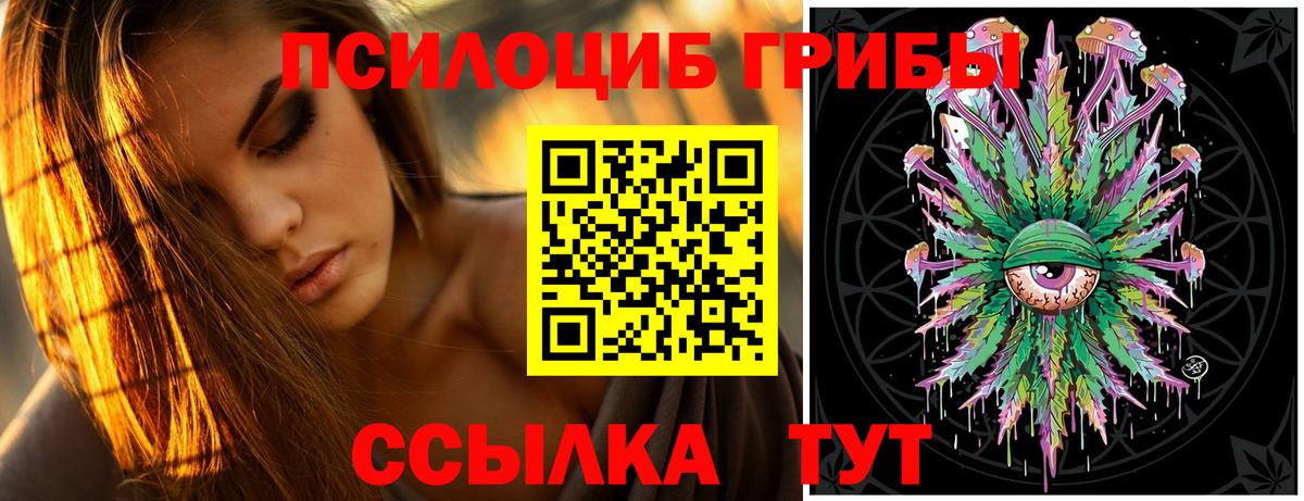 Псилоцибиновые грибы мухоморы Торжок