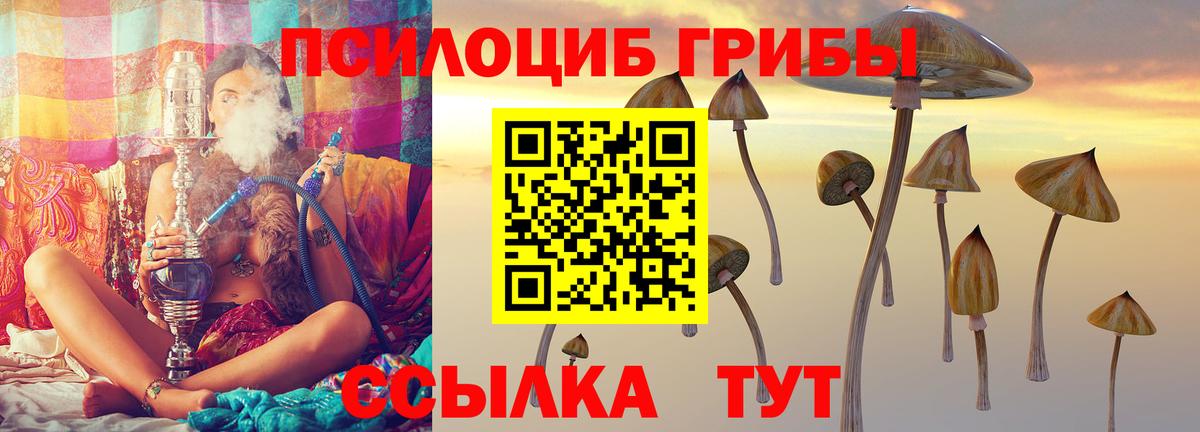 Псилоцибиновые грибы Psilocybine cubensis  Псилоцибиновые грибы Psilocybe  Вход с VPN  Торжок 